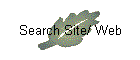 Search Site / Web